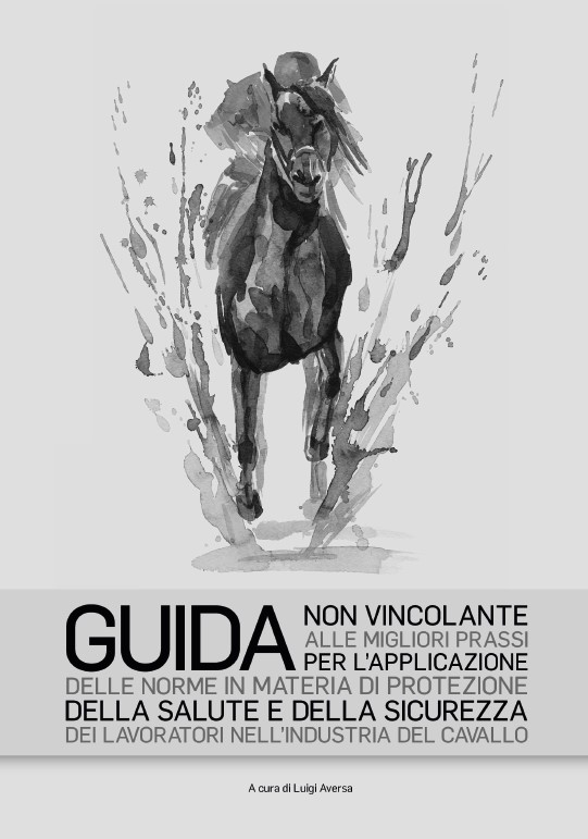 Sicurezza lavoratori industria del cavallo